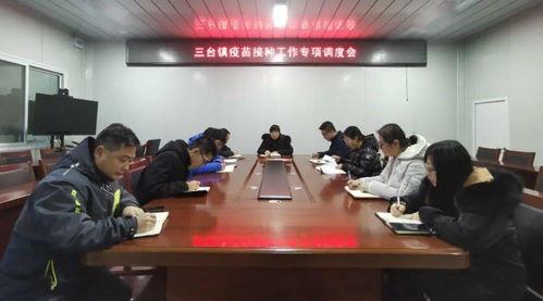 三台县爆料新闻最新消息,最新爆料揭示惊人真相